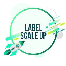 استراتيجيات التوسع للمؤسسات الناشئة  كمدخل للاستدامة وتنويع الاقتصادي في الجزائر:    الفرص و التحديات